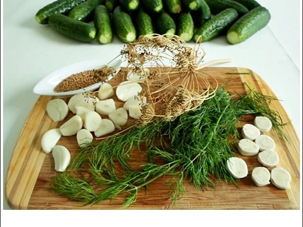 Salz-Dill-Gurken selbst einlegen - Rezept - Bild Nr. 16107