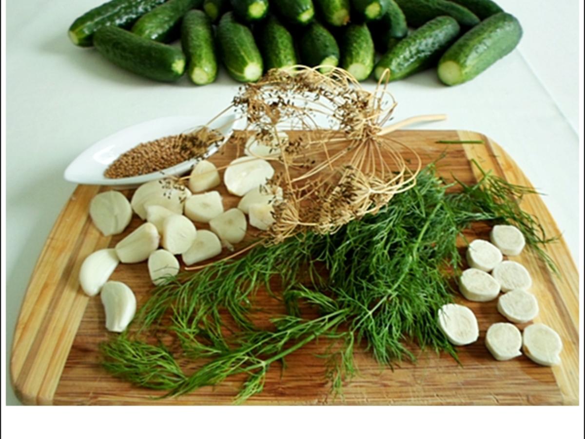 Salz-Dill-Gurken selbst einlegen - Rezept - kochbar.de