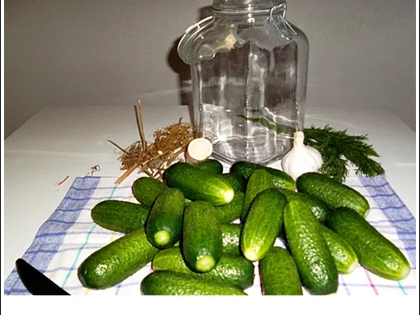 Salz-Dill-Gurken selbst einlegen - Rezept - Bild Nr. 16108