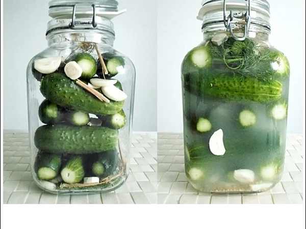 Salz-Dill-Gurken selbst einlegen - Rezept - Bild Nr. 16104