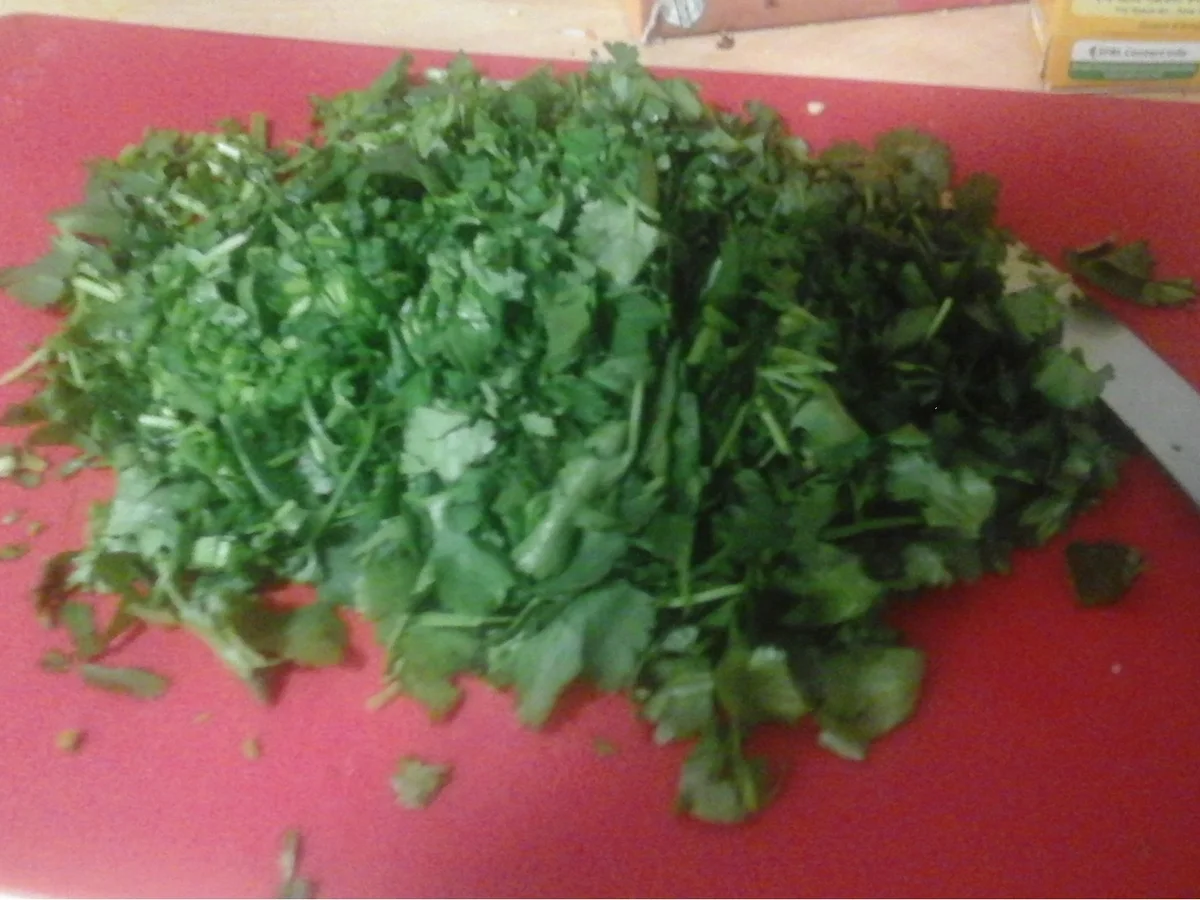 Rezept: Koriander-Buletten mit pikanter Rahmsauce, Butter-mais und Pellkartoffel-Drillingen Bild Nr. 16097 Koriander-Buletten mit pikanter Rahmsauce, Butter-mais und Pellkartoffel-Drillingen - Rezept - Bild Nr. 16097