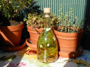 Dill-Gewürz-Essig - Rezept - Bild Nr. 2