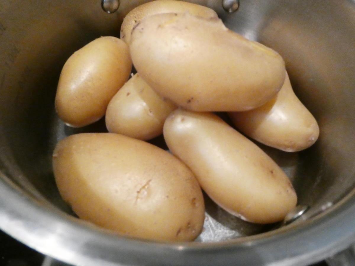 Kräuterfladen mit Kartoffeln -Schafskäse und Rosmarin - Rezept - Bild Nr. 16098