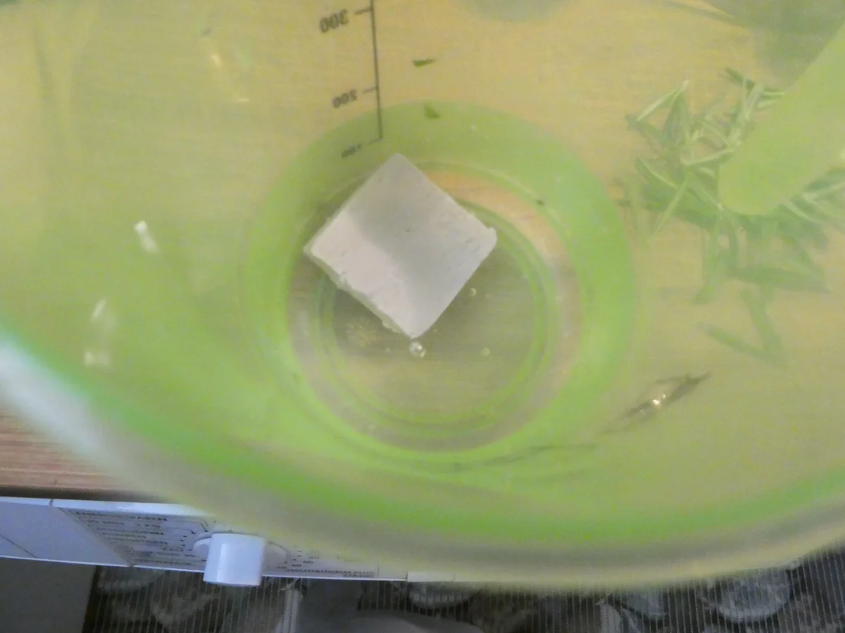 Kräuterfladen mit Kartoffeln -Schafskäse und Rosmarin - Rezept - Bild Nr. 16100