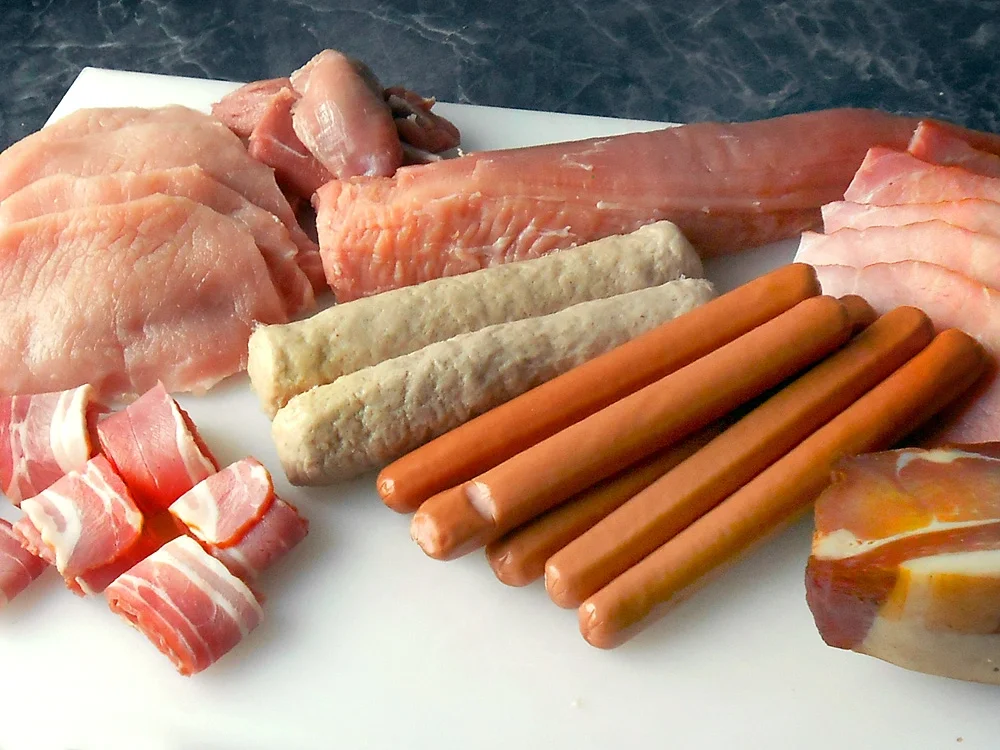 Mein Schaschlik von allerlei Schwein - Rezept - Bild Nr. 16119
