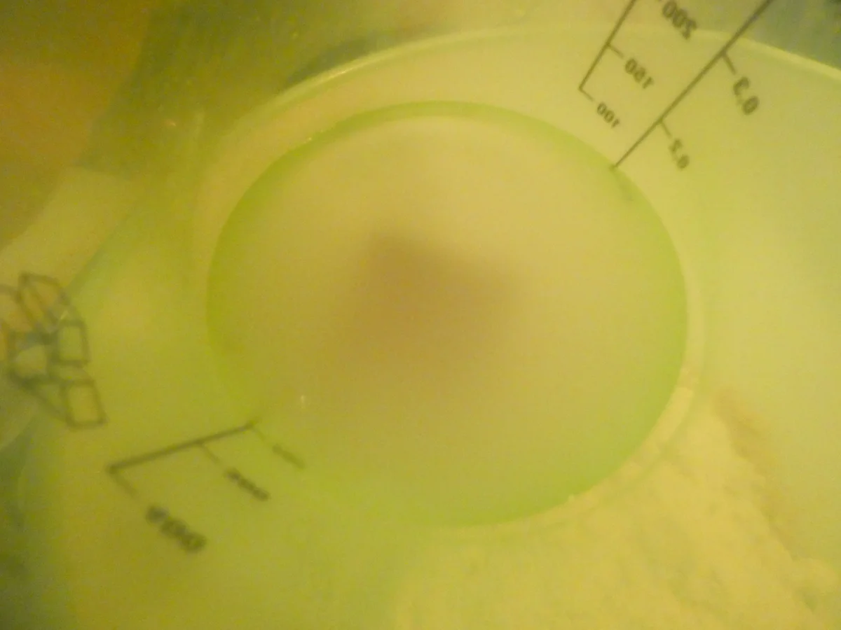 Rezept: Flammkuchen mit Kürbis und Apfel Bild Nr. 16117 Flammkuchen mit Kürbis und Apfel - Rezept - Bild Nr. 16117