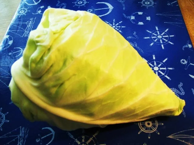 Rezept: Spitzkohl - Omelett Spitzkohl - Omelett - Rezept