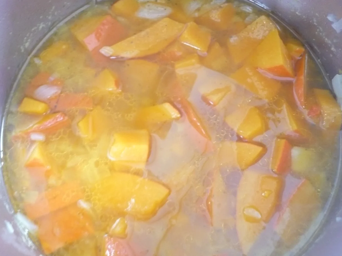 Bunte  Kürbissuppe - Rezept - Bild Nr. 16126