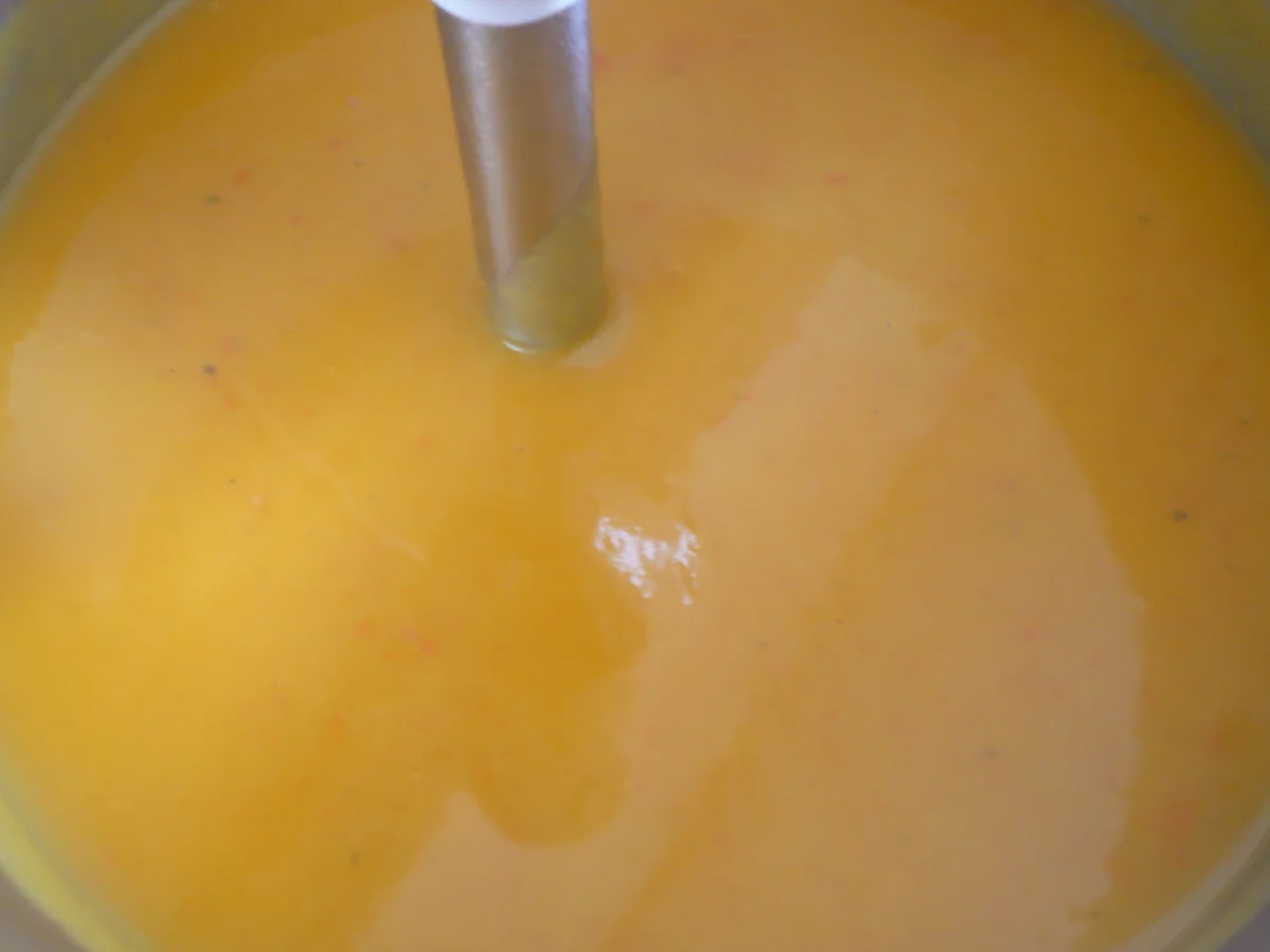 Bunte  Kürbissuppe - Rezept - Bild Nr. 16127