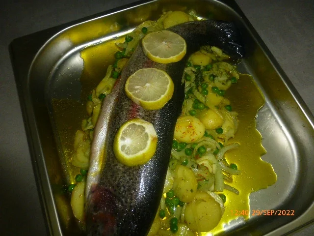 Lachsforelle mit Kartoffeln, Fenchel, Erbsen und Safran - Rezept - Bild Nr. 16129