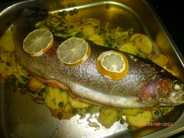 Lachsforelle mit Kartoffeln, Fenchel, Erbsen und Safran - Rezept - Bild Nr. 16130