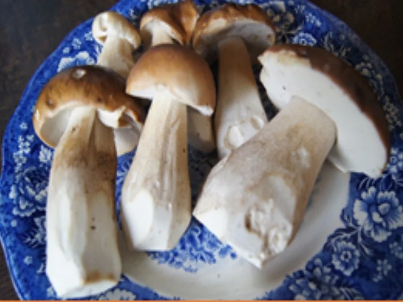 Rezept: Steinpilzschnitzel mit herzhaften Kartoffelstampf Bild Nr. 16128 Steinpilzschnitzel mit herzhaften Kartoffelstampf - Rezept - Bild Nr. 16128