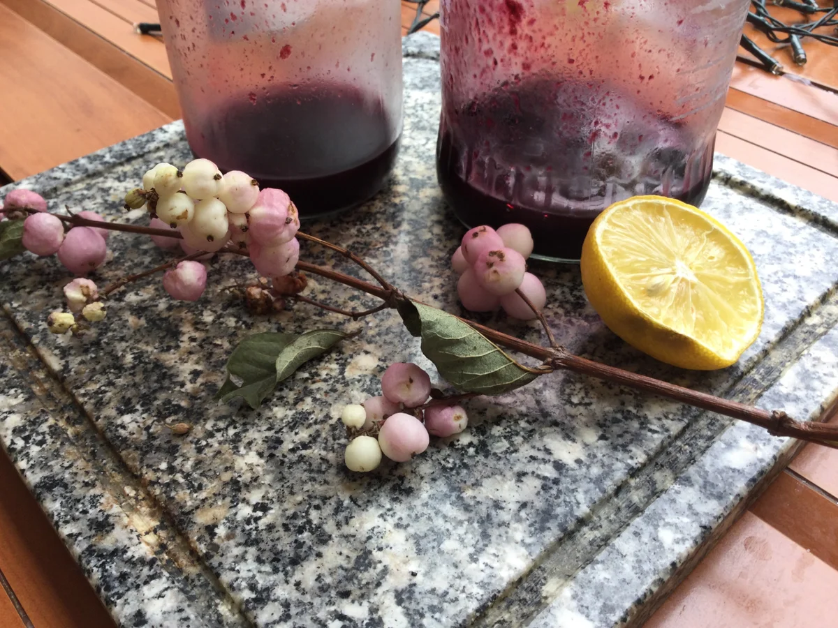 Rezept: Haferflocken an (schnellem) Blaubeeren-Kompott Bild Nr. 16166 Haferflocken an (schnellem) Blaubeeren-Kompott - Rezept - Bild Nr. 16166