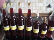 Rezept: Schlehenlikör 2022 Bild Nr. 16306 Schlehenlikör 2022 - Rezept - Bild Nr. 16306