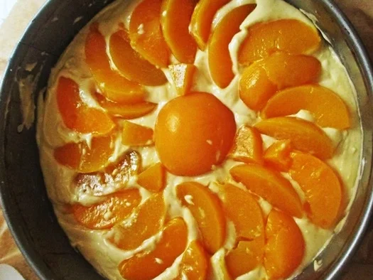 Rezept: Sonniger Pfirsichkuchen Bild Nr. 4 Sonniger Pfirsichkuchen - Rezept - Bild Nr. 4