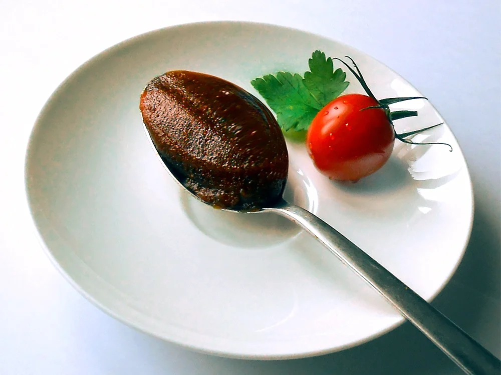 Chateaubriand mit Morcheln und Bündnerfleisch - Rezept - Bild Nr. 16177