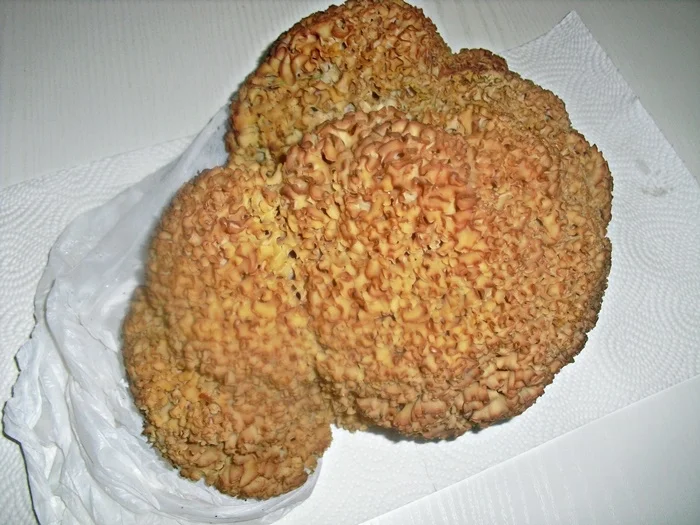 "Krause Glucke" gebraten - kulinarische Weltreise 10-2022 - Rezept - Bild Nr. 16176