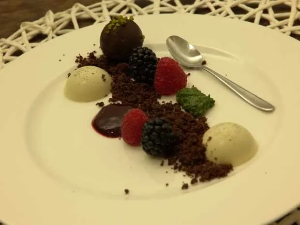 Panna Cotta mit Minzpesto und Schokokekse - Rezept - Bild Nr. 16187