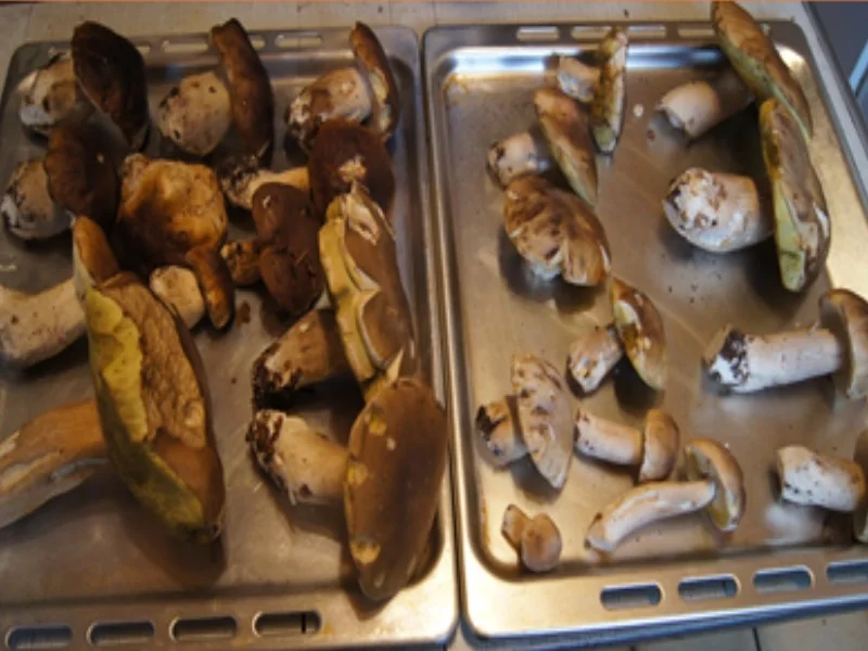 Rezept: Rindfleisch-Steinpilz-Wok in Rahmsauce mit Böhmischen Knödeln Bild Nr. 16192 Rindfleisch-Steinpilz-Wok in Rahmsauce mit Böhmischen Knödeln - Rezept - Bild Nr. 16192