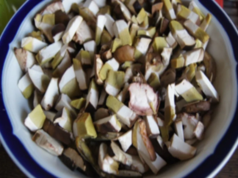 Rezept: Rindfleisch-Steinpilz-Wok in Rahmsauce mit Böhmischen Knödeln Bild Nr. 16193 Rindfleisch-Steinpilz-Wok in Rahmsauce mit Böhmischen Knödeln - Rezept - Bild Nr. 16193