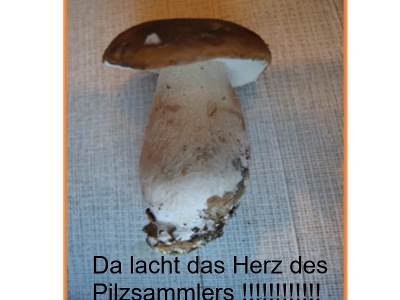 Rezept: Steinpilzpfanne mit Bauernbrot Bild Nr. 3 Steinpilzpfanne mit Bauernbrot - Rezept - Bild Nr. 3