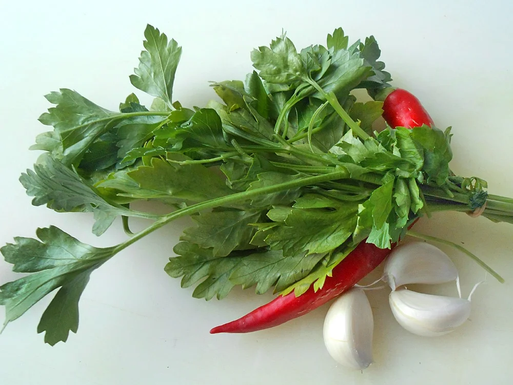 Spaghetti alla colatura di alici - Rezept - Bild Nr. 16193