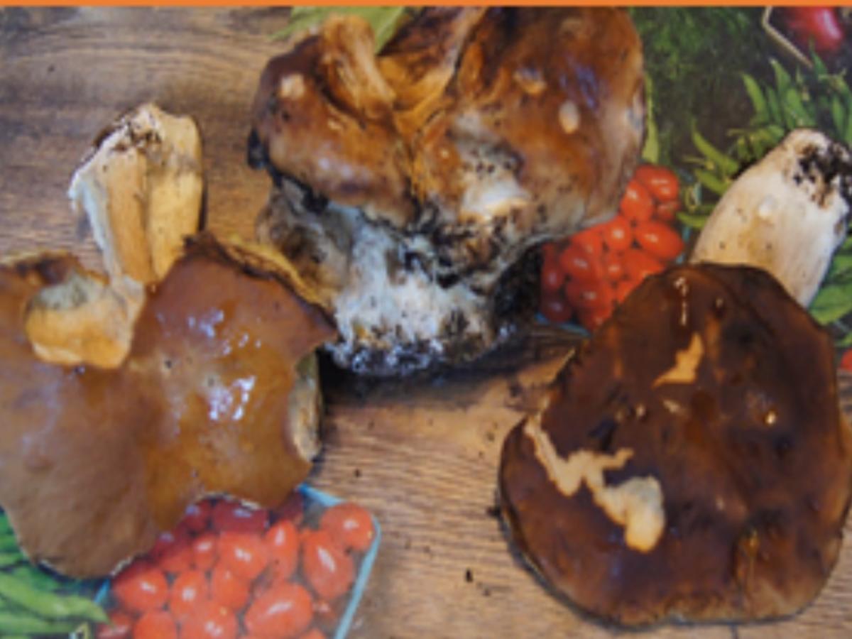 Steinpilznuggets mit Bauernbutterbrot - Rezept - Bild Nr. 3