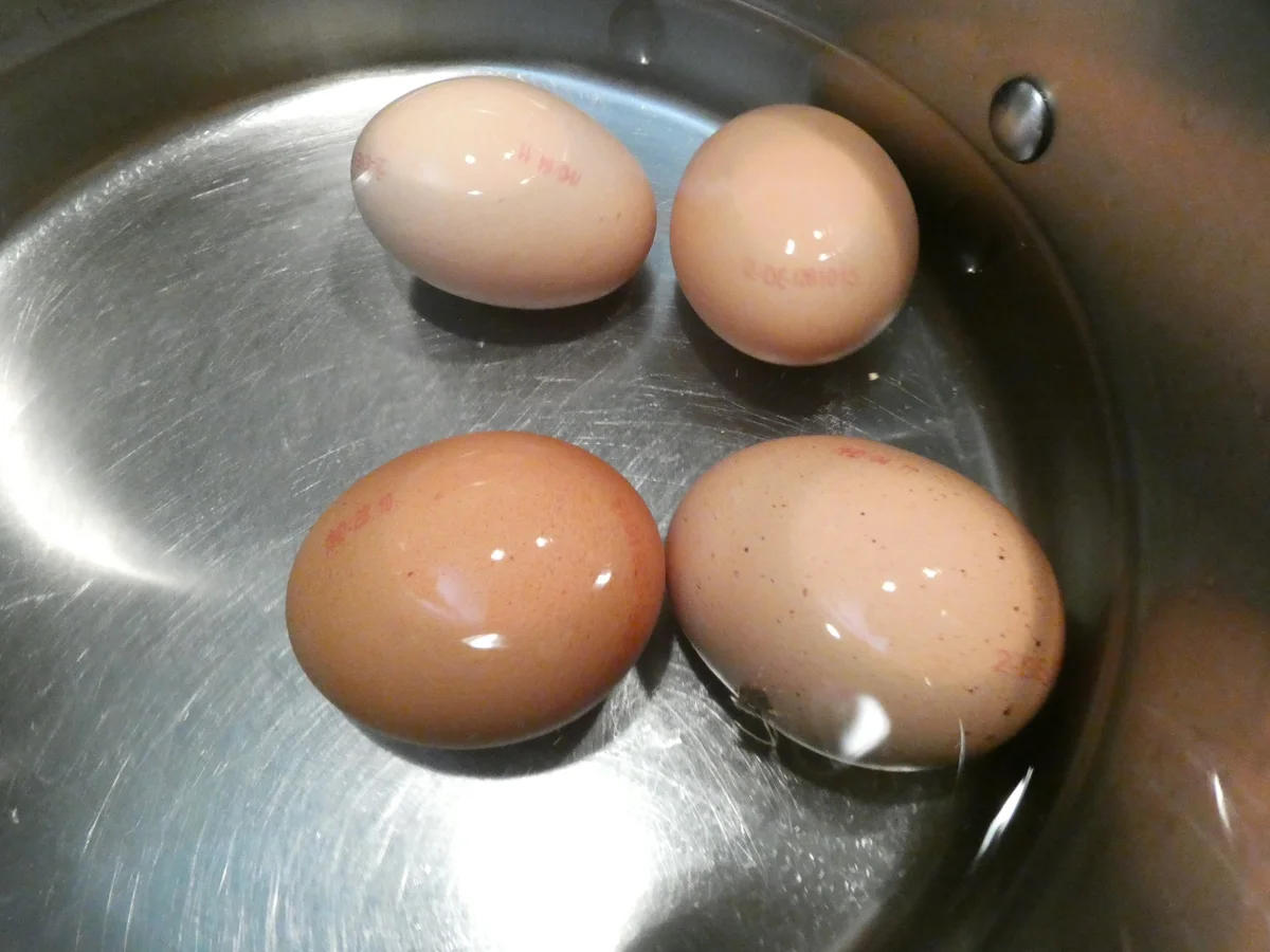 Senfeier mit Kartoffel-Rote Bete -Stampf - Rezept - Bild Nr. 16207