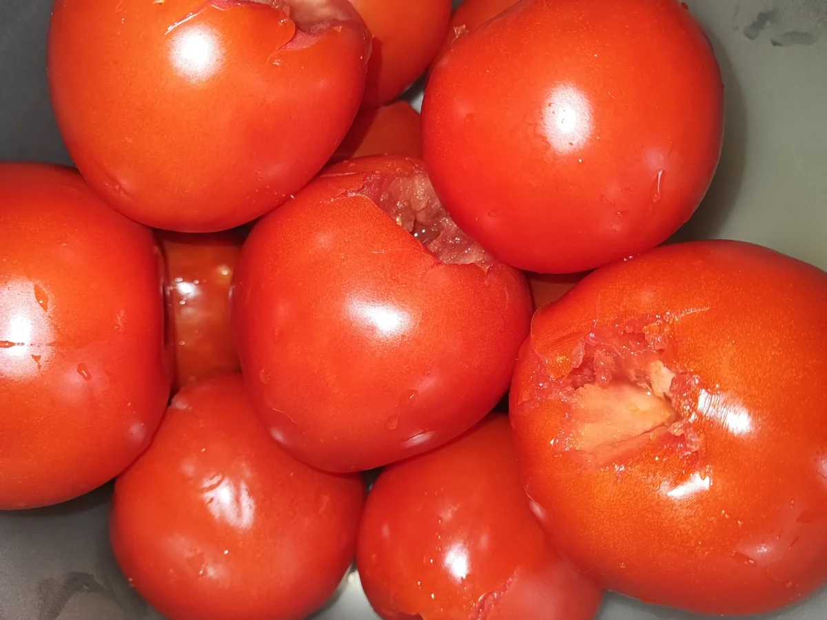 Tortilla-Auflauf-Deluxe by Bash - Rezept - Bild Nr. 16208