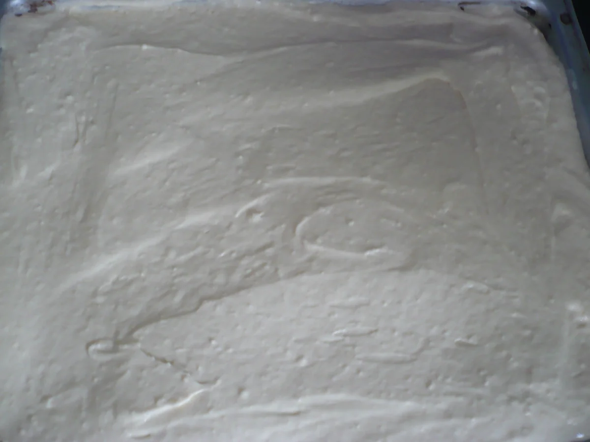 Apfelkuchen vom Blech - Rezept - Bild Nr. 16205