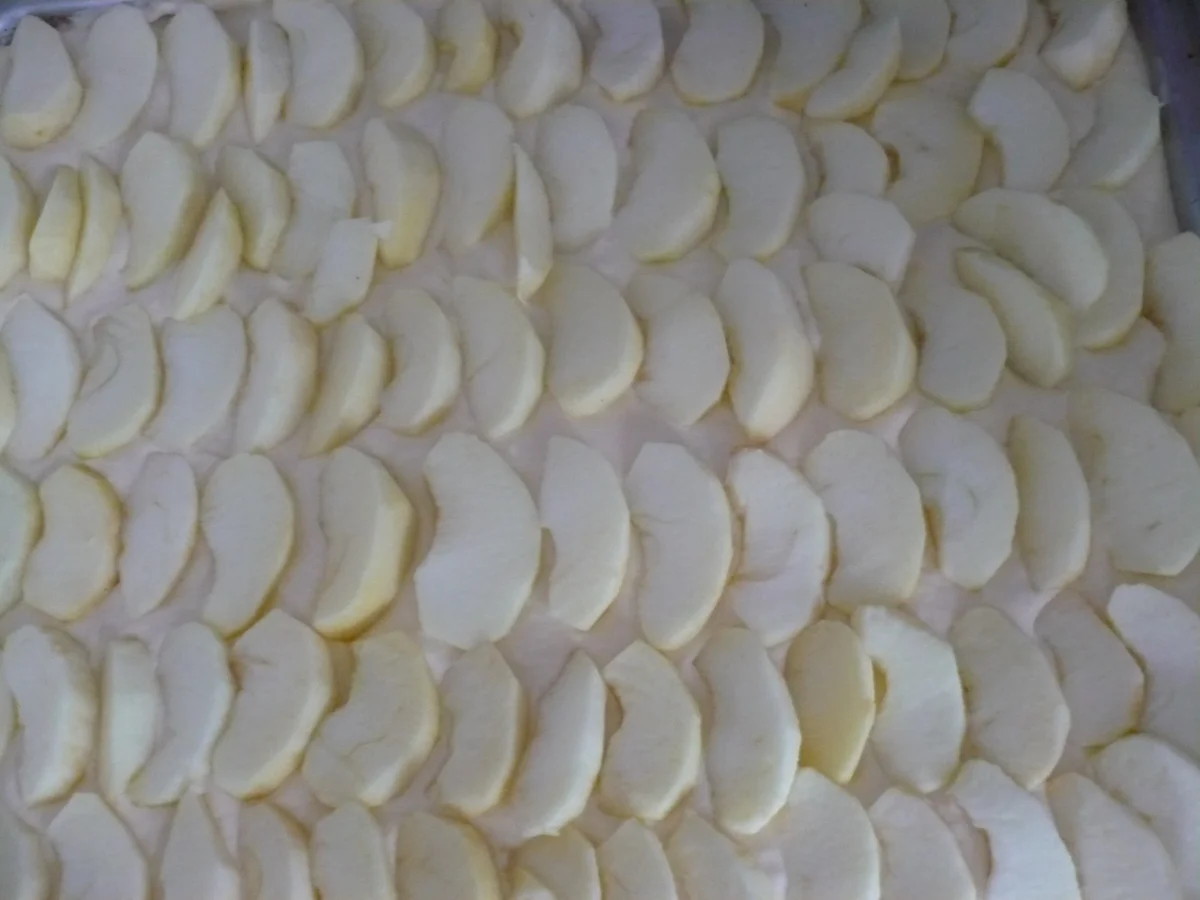 Apfelkuchen vom Blech - Rezept - Bild Nr. 16206