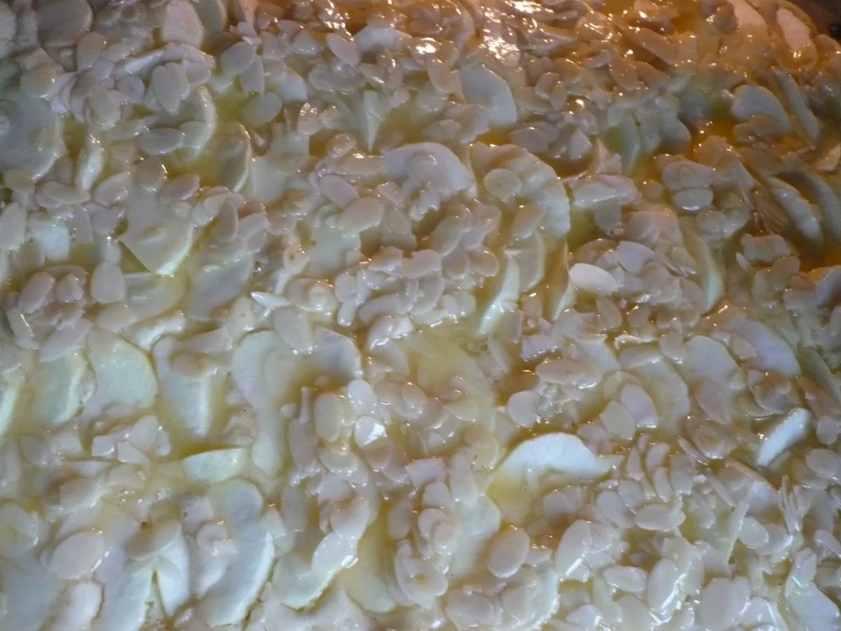 Apfelkuchen vom Blech - Rezept - Bild Nr. 16209