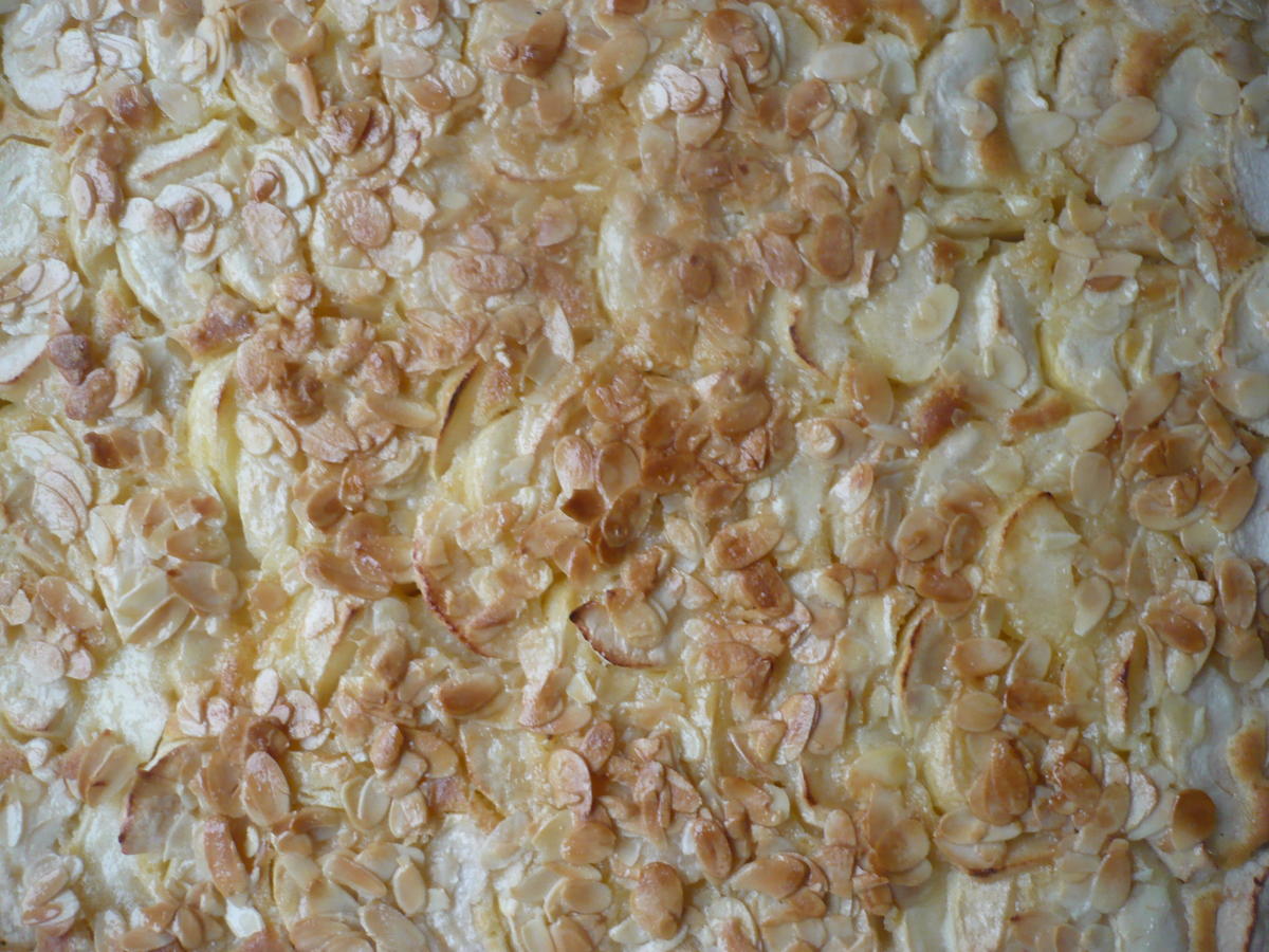 Apfelkuchen vom Blech - Rezept - Bild Nr. 16210