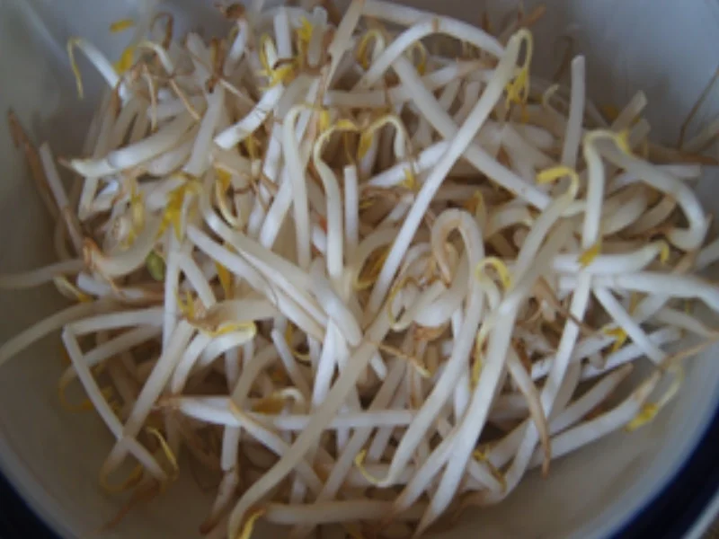 Mie-Nudeln mit Garnelen - Rezept - Bild Nr. 8