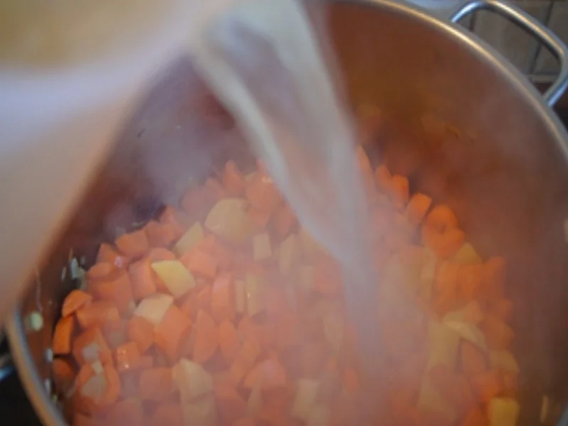 Rezept: Möhren-Pastinaken-Suppe mit Kokosmilch und Steinpilzen Bild Nr. 9 Möhren-Pastinaken-Suppe mit Kokosmilch und Steinpilzen - Rezept - Bild Nr. 9