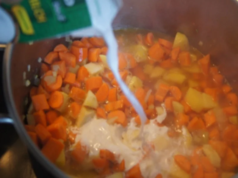 Rezept: Möhren-Pastinaken-Suppe mit Kokosmilch und Steinpilzen Bild Nr. 10 Möhren-Pastinaken-Suppe mit Kokosmilch und Steinpilzen - Rezept - Bild Nr. 10