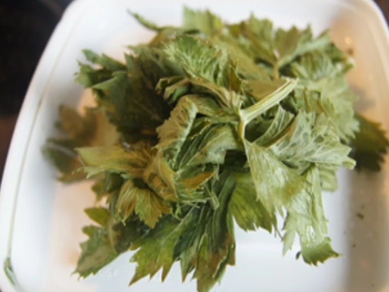 Rezept: Möhren-Pastinaken-Suppe mit Kokosmilch und Steinpilzen Bild Nr. 11 Möhren-Pastinaken-Suppe mit Kokosmilch und Steinpilzen - Rezept - Bild Nr. 11