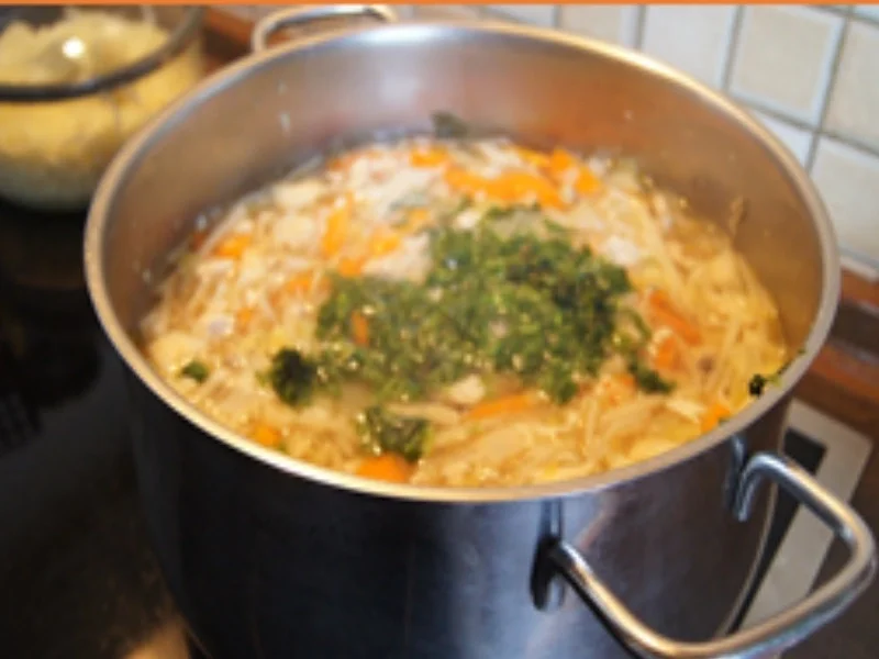 Hähnchensuppentopf mit asiatischer Note - Rezept - Bild Nr. 16227