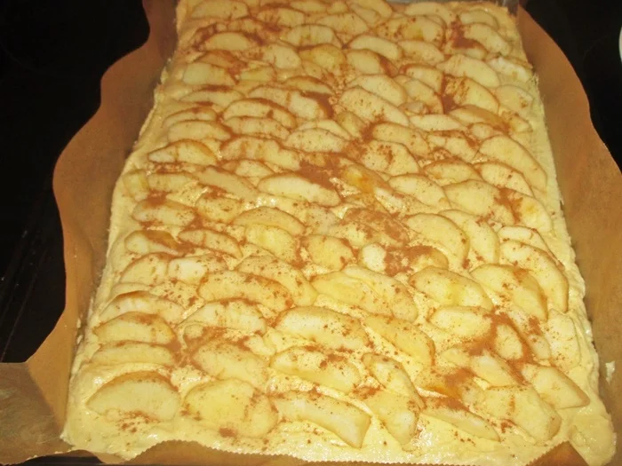 Rezept: Apfel-Streuselkuchen Bild Nr. 16218 Apfel-Streuselkuchen - Rezept - Bild Nr. 16218