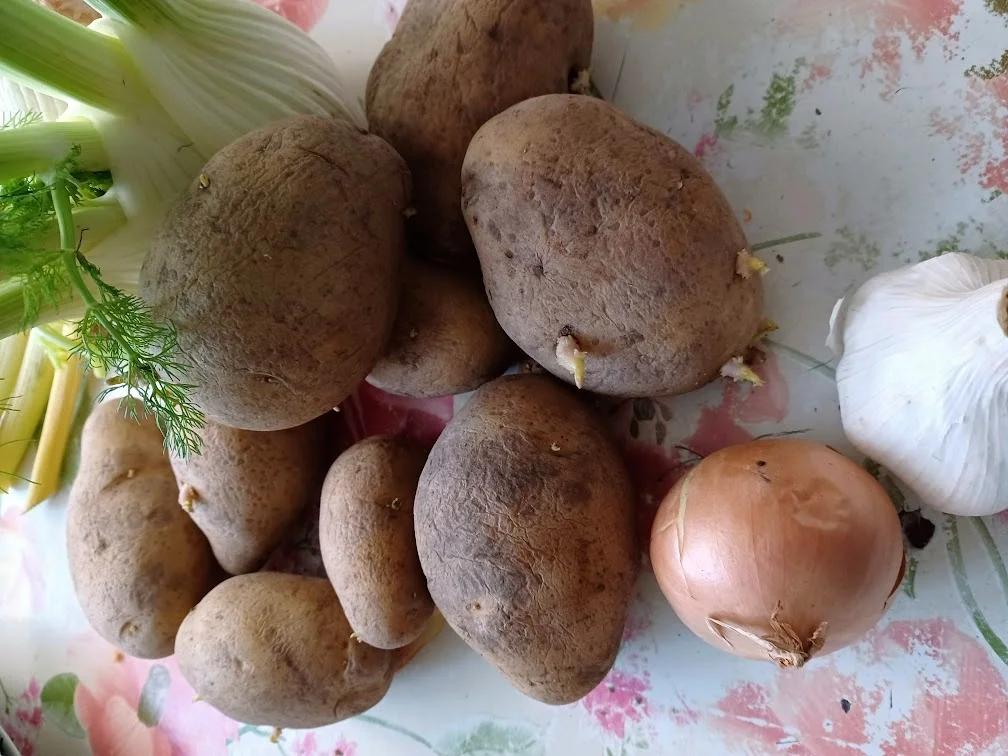 Auflauf mit Fenchel und Kartoffeln - Rezept - Bild Nr. 16257