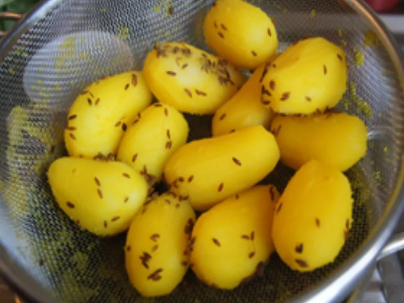 Schnitzeltasche griechischer Art mit Rahm-kohlrabi und Kümmel-Drillingen - Rezept - Bild Nr. 16276