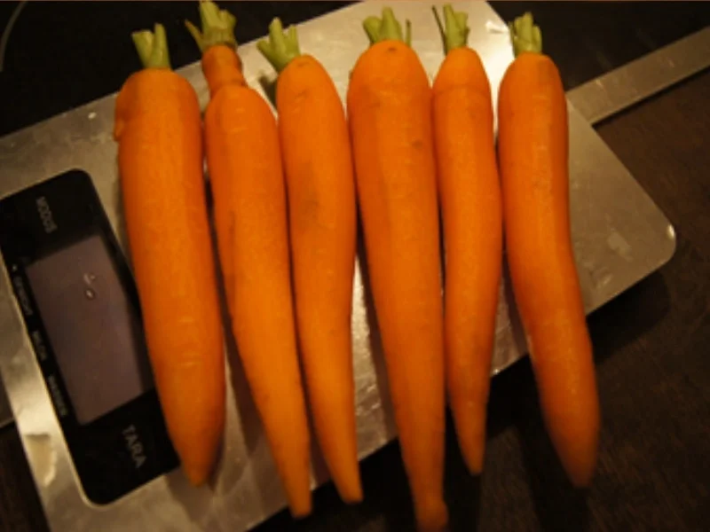 Rezept: Chicken Nuggets mit Honig-Bundmöhren und bunten Reis Bild Nr. 16250 Chicken Nuggets mit Honig-Bundmöhren und bunten Reis - Rezept - Bild Nr. 16250