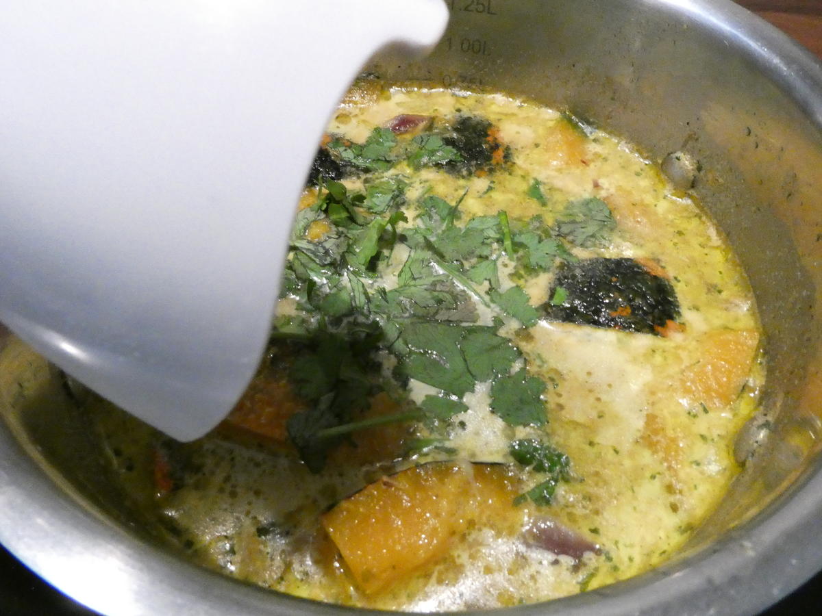 Kürbis-Curry-Suppe - Rezept - Bild Nr. 16257