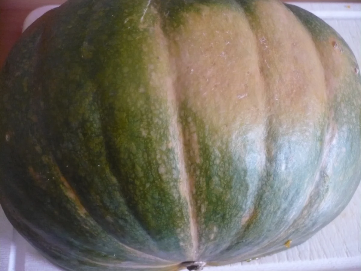 Rezept: Hähnchen mit Kartoffeln und Kürbis Bild Nr. 16255 Hähnchen mit Kartoffeln und Kürbis - Rezept - Bild Nr. 16255