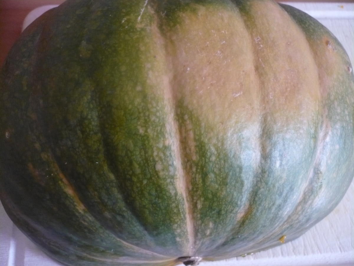 Hähnchen mit Kartoffeln und Kürbis - einfach - von rollimops Hähnchen mit Kartoffeln und Kürbis - einfach - von rollimops