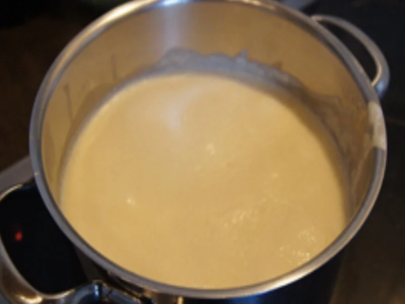 Rezept: Grießbrei mit asiatischer Note Bild Nr. 16258 Grießbrei mit asiatischer Note - Rezept - Bild Nr. 16258