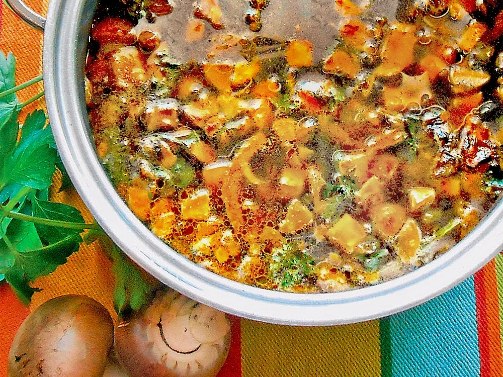 Fond de champignon - Champignonfond - Rezept - Bild Nr. 16306