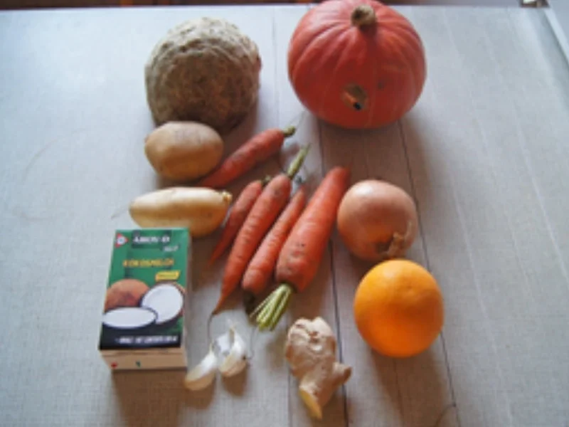 Asiatisch gewürzte Kürbiscremesuppe mit Garneleneinlage - Rezept - Bild Nr. 16307