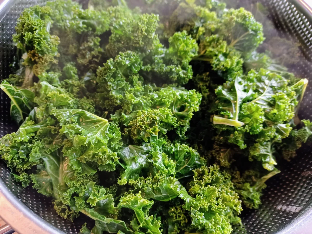 Grünkohl in Sahnesoße - Rezept - Bild Nr. 16309