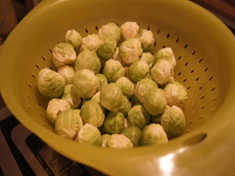 Hühnersuppentopf mit Gemüsemix und Suppennudeln - Rezept - Bild Nr. 16316